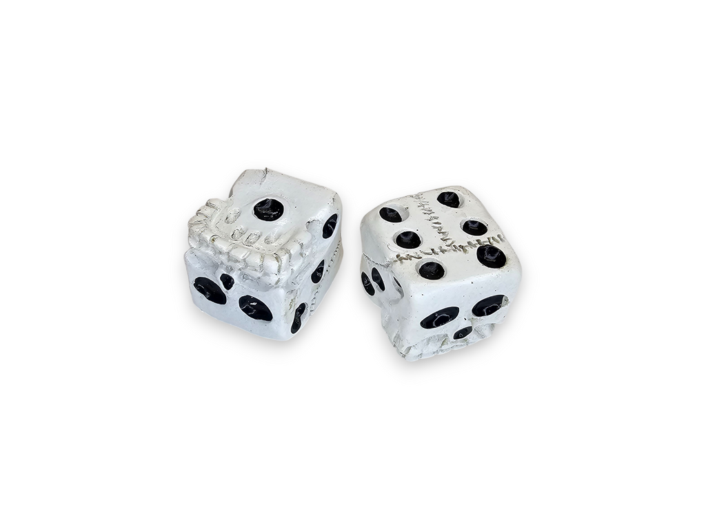 Dés acryliques à six faces (D6), lot de 2, motif crâne, jeu de société, noir et blanc